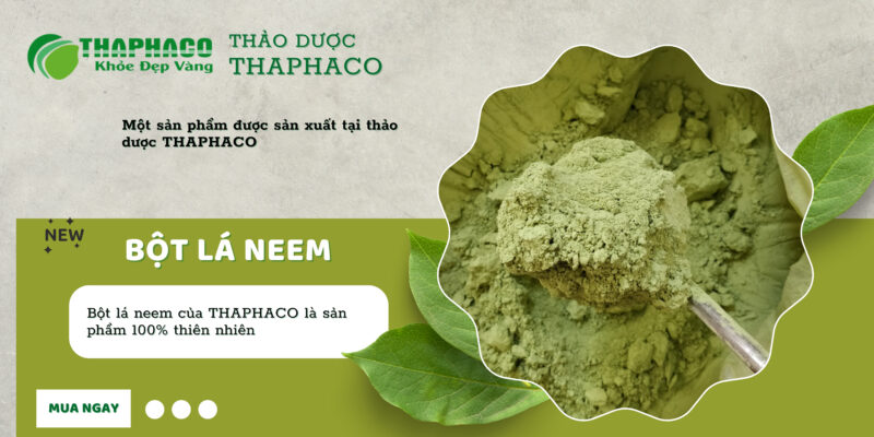 Địa chỉ bán bột lá neem nguyên chất tại TP.HCM