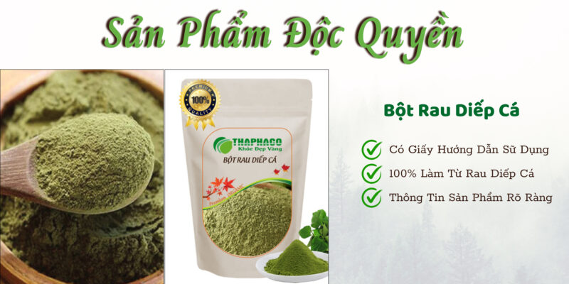 Bột rau diếp cá của THAPHACO