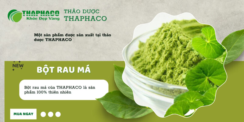Bột rau diếp cá nguyên chất của THAPHACO
