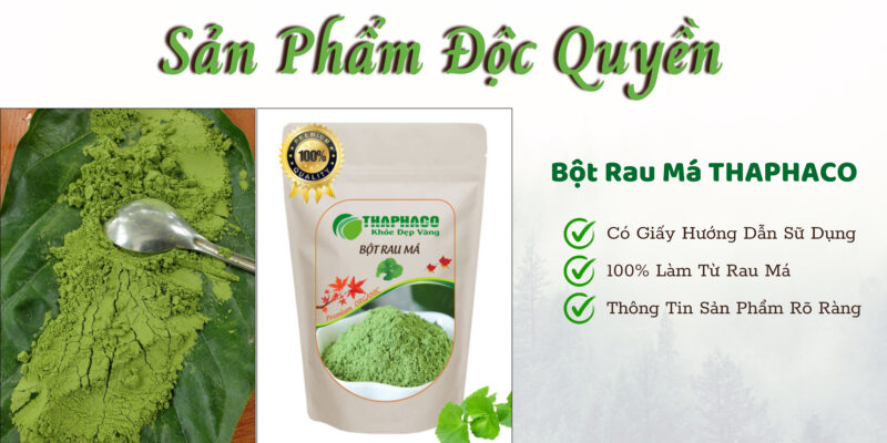 Bột rau má sấy lạnh nguyên chất của THAPHACO
