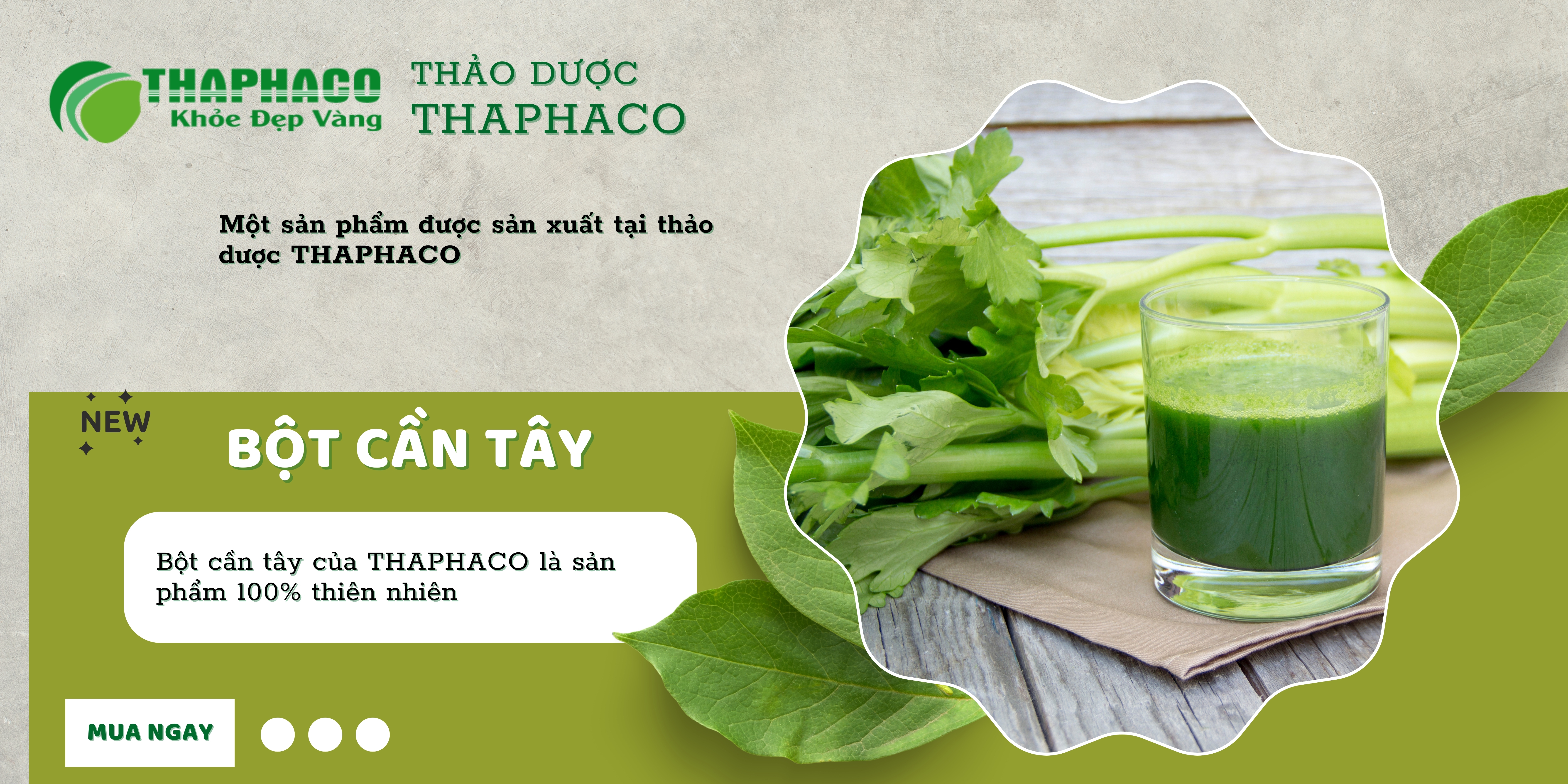 Bột cần tây nguyên chất của THAPHACO