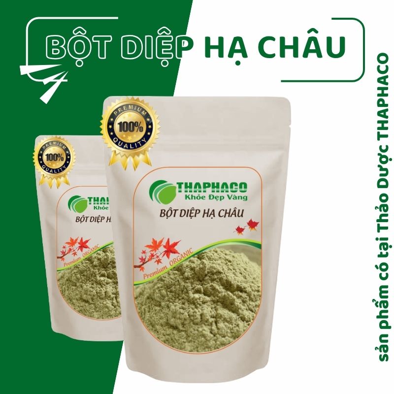 Bột Diệp Hạ Châu Nguyên Chất