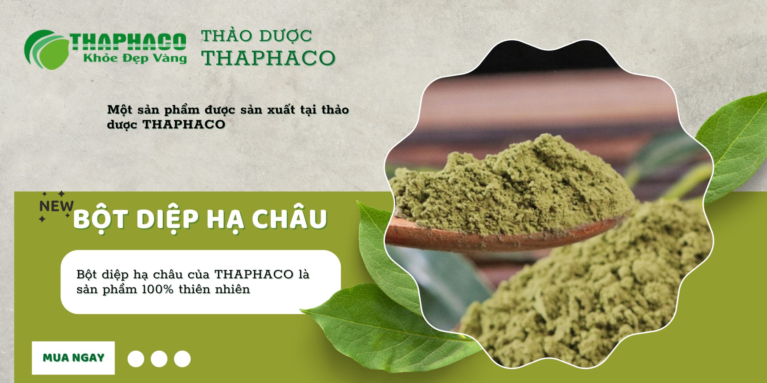 Quy trình sản xuất bột diệp hạ châu tại THAPHACO