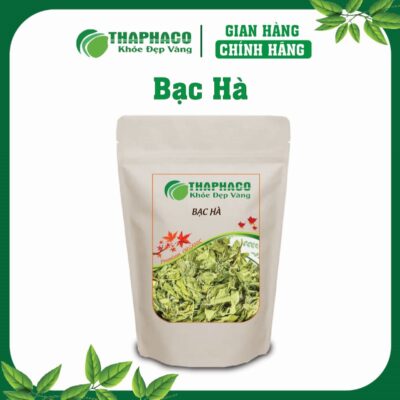 Bạc Hà Là Gì? Nguồn Gốc và Đặc Điểm