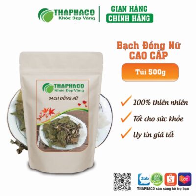 Cách pha trà Bạch Đồng Nữ khô