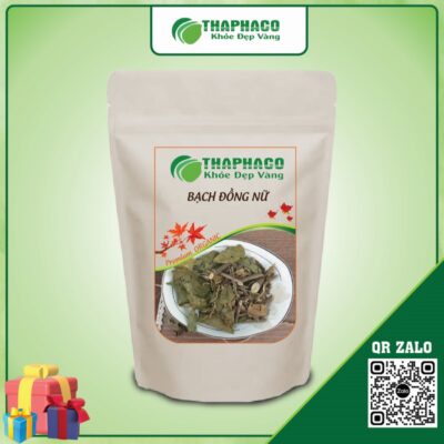 Bạch đồng nữ giúp giảm đau nhức xương khớp