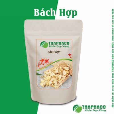 Bách Hợp có tiềm năng hỗ trợ sức khỏe tim mạch 