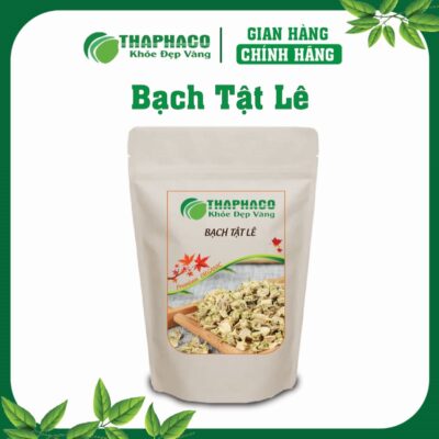 Bạch Tật Lê (Gai Ma Vương) là gì? Nguồn gốc và Đặc điểm nhận biết