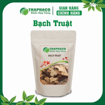 Bạch Truật Là Gì? Nguồn Gốc và Đặc Điểm