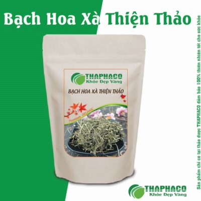 Bài Thuốc Bạch Hoa Xà Thiện Thảo Hỗ Trợ Điều Trị Một Số Bệnh Lý
