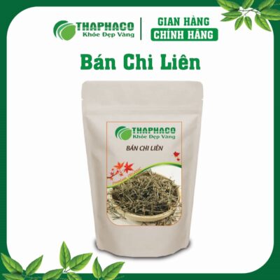 Bán Chi Liên Là Gì? Nguồn Gốc và Đặc Điểm Nhận Biết