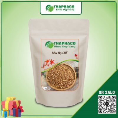 Bán Hạ Chế giúp hóa đàm, làm loãng và tống xuất đờm