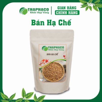 Bán Hạ Chế là dược liệu quý từ cây Bán Hạ, đã qua quy trình chế biến