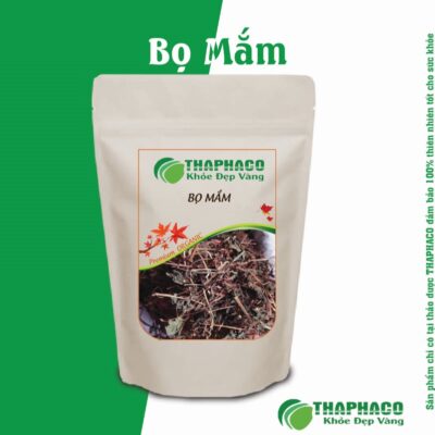 Bọ Mắm giúp thanh nhiệt, giải độc, hỗ trợ tiêu hóa và lợi tiểu