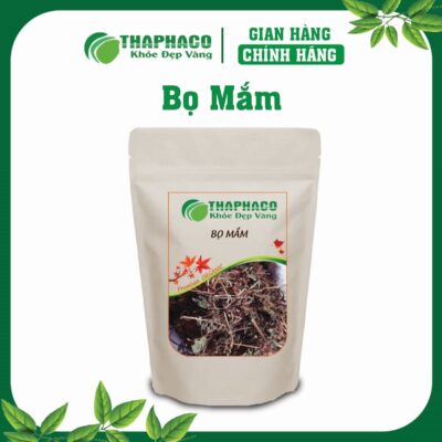 Bọ Mắm là gì? Nguồn gốc và Đặc điểm nhận dạng