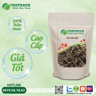 Cà Gai Leo Hỗ Trợ Điều Trị Viêm Gan B, Xơ Gan