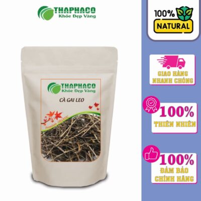 Cà Gai Leo Giúp Giảm Ho Gà, Cảm Cúm, Sổ Mũi