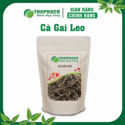 Mua Cà Gai Leo Sạch, Nguyên Chất Tại Thaphaco