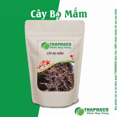 Cách Dùng Cây Bọ Mắm Trị Mụn Nhọt, Lở Loét