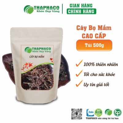Hướng Dẫn Sử Dụng Cây Bọ Mắm An Toàn