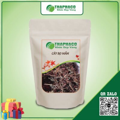 Cây Bọ Mắm giải quyết các vấn đề về da như mụn nhọt, lở loét