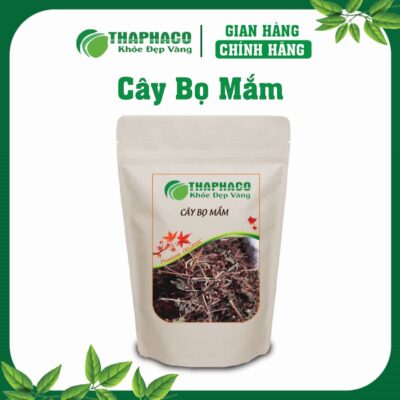 Cây Bọ Mắm còn được gọi là Thuốc Mò, Đại Thanh, Lương Miễn Thảo