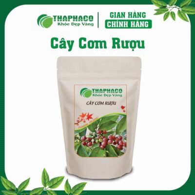 Cây Cơm Rượu Là Gì? Nguồn Gốc và Đặc Điểm Nhận Biết