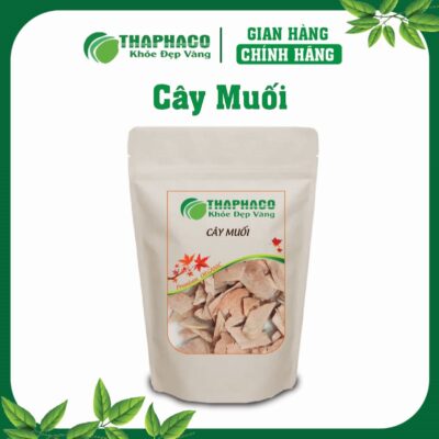 Cây Muối là gì? Nguồn gốc và đặc điểm nhận biết