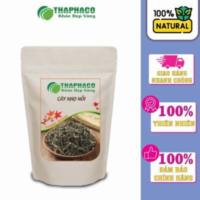 Địa Chỉ Mua Cây Nhọ Nồi/Cỏ Mực Sạch, Nguyên Chất, Giá Tốt