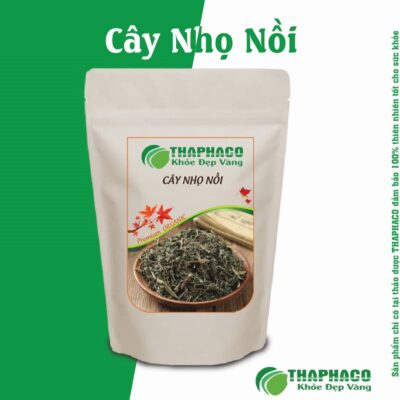Cây Nhọ Nồi có thể kết hợp với các dược liệu khác