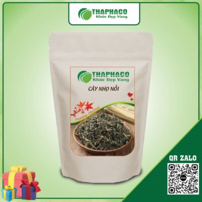 Cây nhọ nồi có tác dụng bổ thận, mát gan, thanh lọc cơ thể