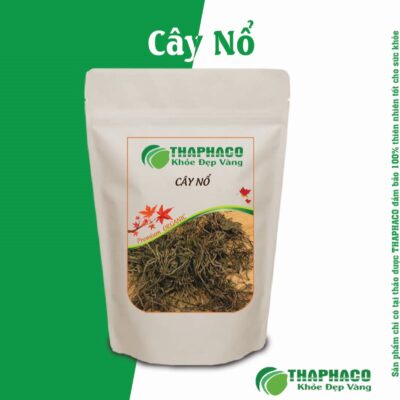 Bài Thuốc Cây Nổ Hỗ Trợ Xương Khớp