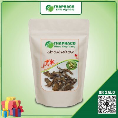 Cây ô rô mát gan giúp Cải Thiện Hệ Tiêu Hóa và Thanh Lọc Cơ Thể