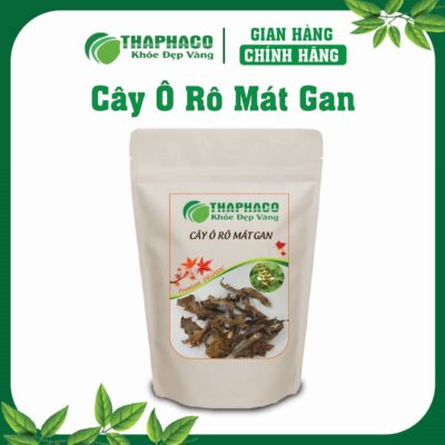 Cây Ô Rô Mát Gan Là Gì? Nguồn Gốc và Đặc Điểm