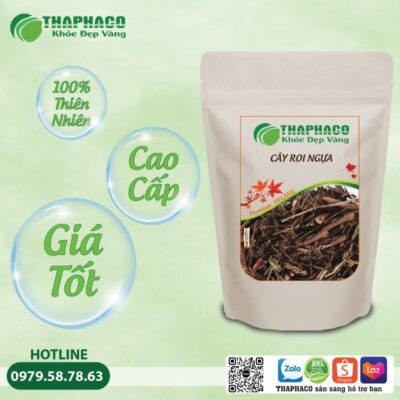 Lưu ý quan trọng khi sử dụng Cây Roi Ngựa