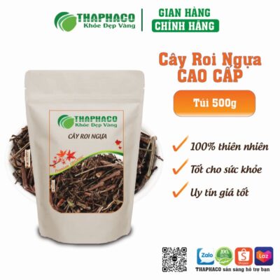 Cây Roi Ngựa có tác dụng hỗ trợ hô hấp, lợi tiểu, nâng cao sức khỏe