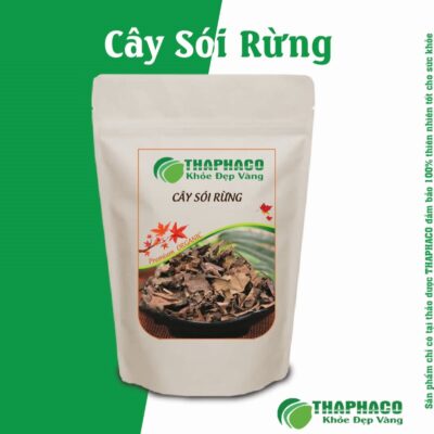 Bài Thuốc Sắc Uống Hỗ Trợ Xương Khớp Từ Cây Sói Rừng
