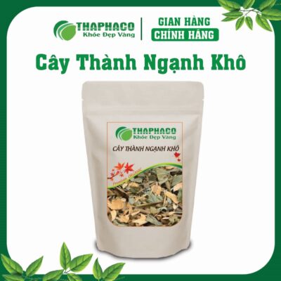 Cây Thành Ngạnh Khô Là Gì? Nguồn Gốc và Đặc Điểm Nhận Biết