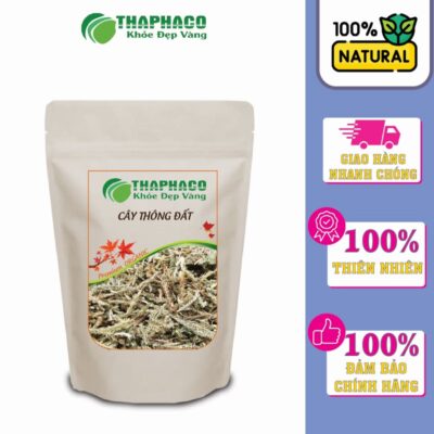 Cây Thông Đất sạch, nguyên chất tại THAPHACO