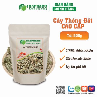 Cây Thông Đất còn giúp chống viêm và tăng cường tuần hoàn máu não