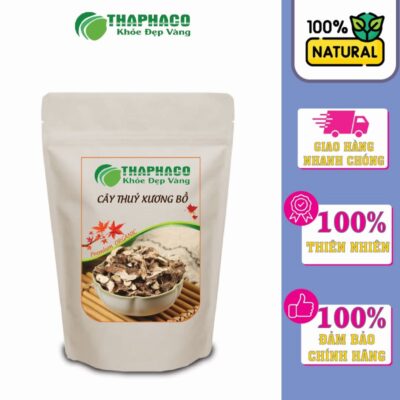 Cây thuỷ xương bồ có giá bán hợp lý chỉ với 220.000 VNĐ