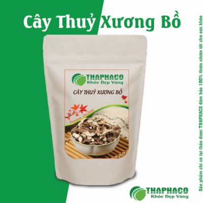 Cách Pha Trà Thủy Xương Bồ