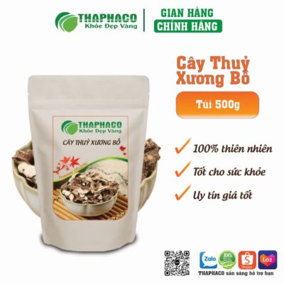 Lưu Ý Quan Trọng Khi Sử Dụng Thủy Xương Bồ