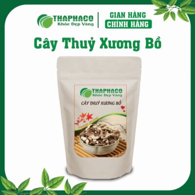 Thủy Xương Bồ Là Gì? Nguồn Gốc và Đặc Điểm Nhận Biết