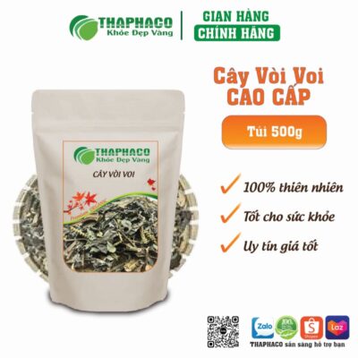 Cây Vòi Voi có tác dụng hạ sốt, lợi tiểu, và hỗ trợ tiêu hóa