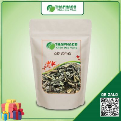 Cây vòi voi giúp giảm sưng viêm họng, ho khan