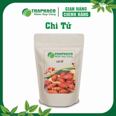 Chi Tử/ Dành Đanh Là Gì? Nguồn Gốc và Đặc Điểm Nhận Biết