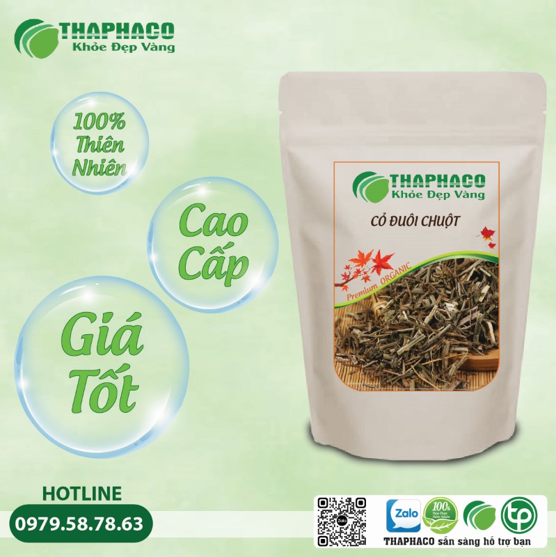 Thaphaco tự hào mang đến sản phẩm cỏ đuôi chuột chất lượng cao nhất
