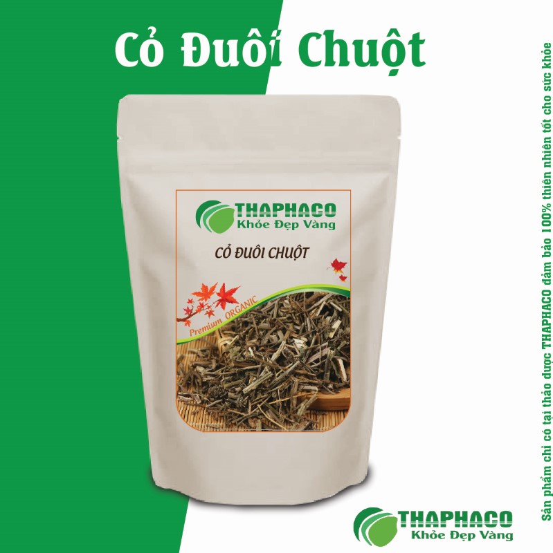 Lưu Ý Quan Trọng Khi Sử Dụng Cỏ Đuôi Chuột