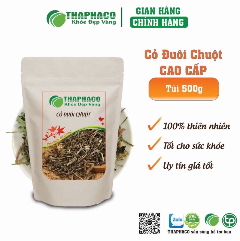 Hướng Dẫn Sử Dụng Cỏ Đuôi Chuột Đúng Cách